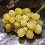 Prosecco grapes on the vine highlighting their unique qualities