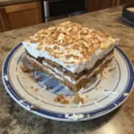 Decadent No Bake S'mores Cake with layers of chocolate and marshmallows
