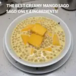Bowl of Creamy Mango Sago dessert topped with mango slices and sago pearls.